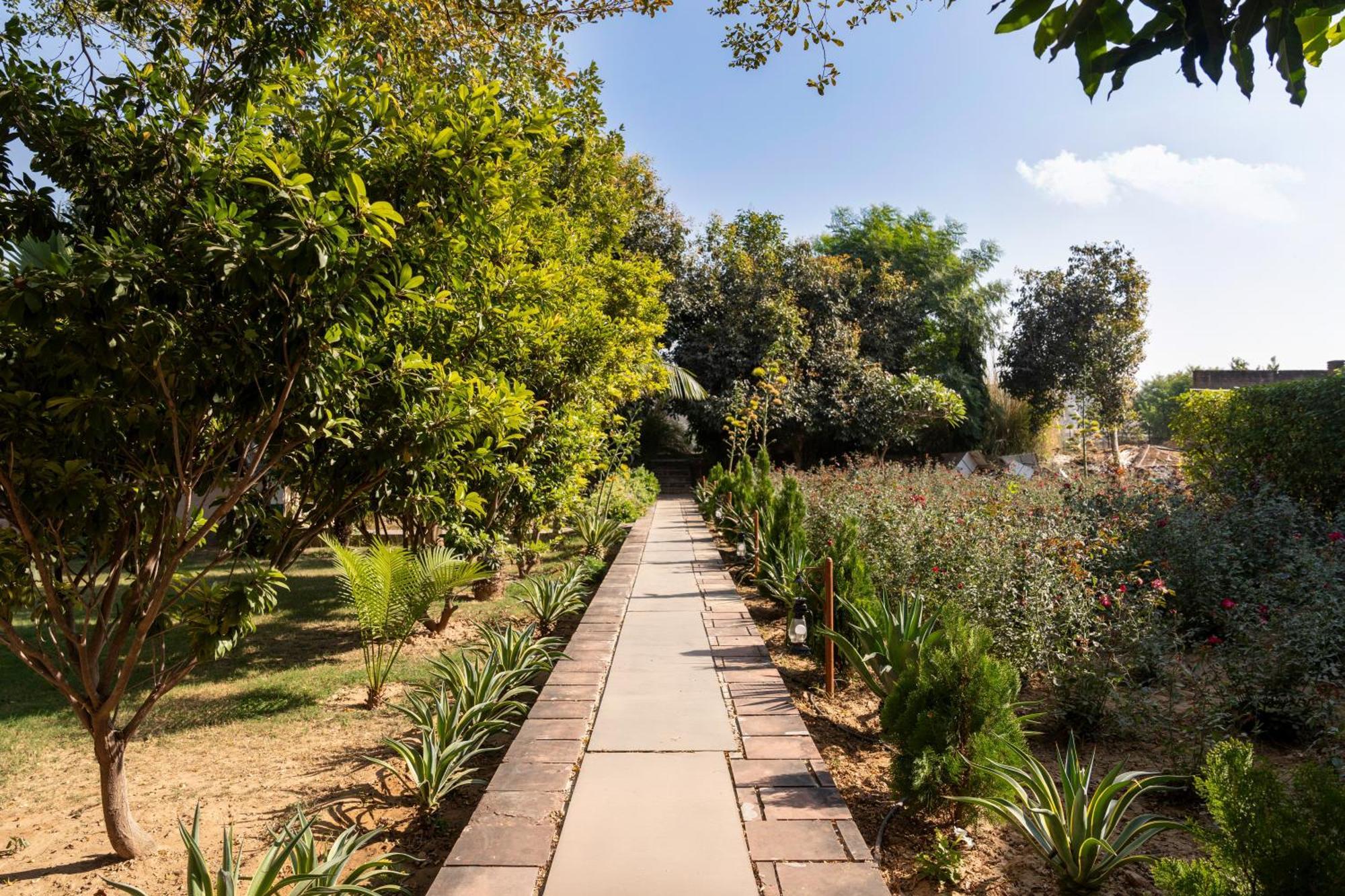 Abhyaran Resort & Spa Ranthambore Sawai Madhopur Εξωτερικό φωτογραφία
